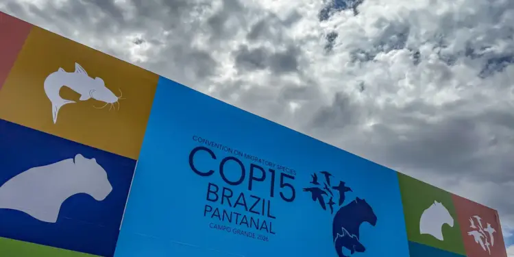 Cúpula em Campo Grande reúne 132 países e UE para orientar debates da COP15 da CMS e proteger rotas migratórias do Pantanal