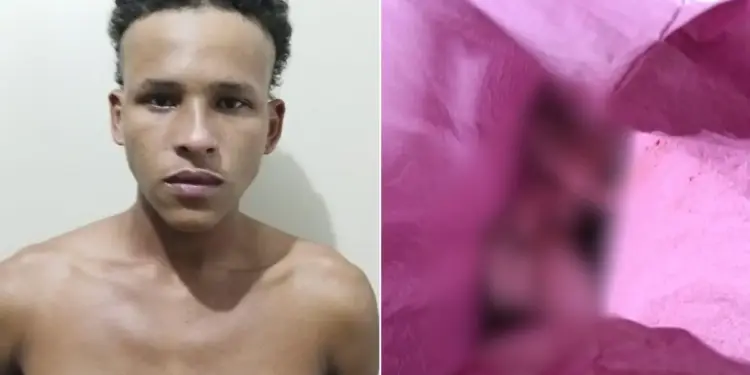 Homem é Preso em São Vicente por Matar Filhote de Cachorro a Chutes e Pisadas; Crime Choca pela Frieza do Agente