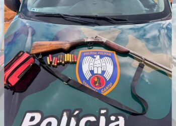 Homem é detido com espingarda irregular após alerta de desmatamento no Sul do ES - Foto: Polícia Ambiental