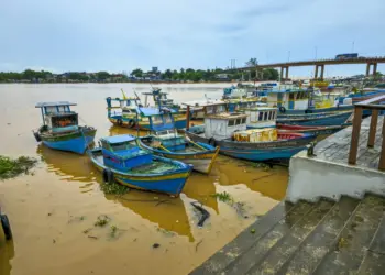 ÁGUA EM FOCO: CINEMA, CIÊNCIA E PRÁTICA SE ENCONTRAM EM PROGRAMAÇÃO GRATUITA NO SUL DO ES - Foto: Divulgação