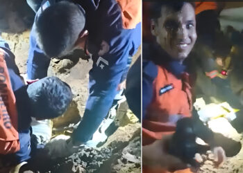 Baixo Guandu: Cadelinha Vitória é resgatada após 3 horas - Foto: Reprodução