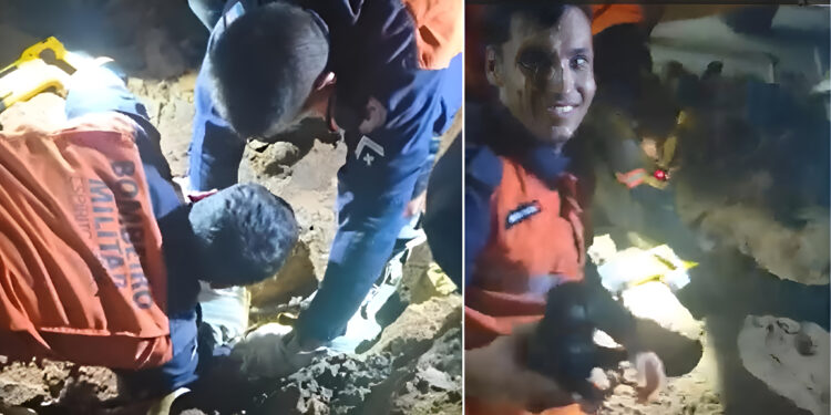 Baixo Guandu: Cadelinha Vitória é resgatada após 3 horas - Foto: Reprodução