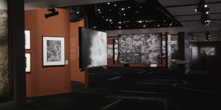 Exposição “Amazônia”, de Sebastião Salgado, chega a Vitória - Créditos: Lucas Barcelos