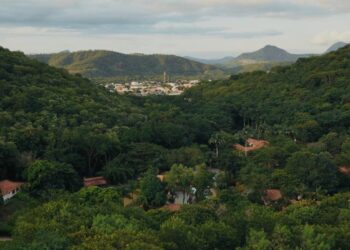 Aos 28 anos, Instituto Terra é tema de documentário de diretor alemão - Foto: Divulgação