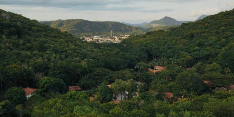 Aos 28 anos, Instituto Terra é tema de documentário de diretor alemão - Foto: Divulgação