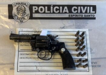 Homem é detido após confessar assassinato motivado por briga na zona rural de Governador Lindenberg - Foto: Reprodução