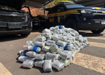 Carga de haxixe avaliada em milhares de reais é intercetada pela PRF no ES - Foto: Reprodução