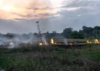 Colatina entra em período de seca e Defesa Civil reforça ações contra incêndios - Foto: Freepik