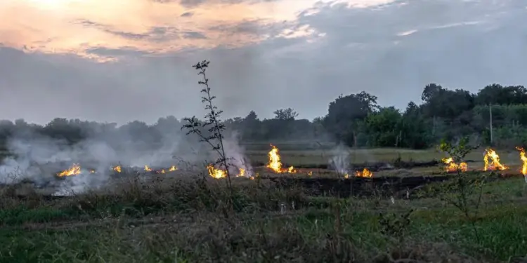 Colatina entra em período de seca e Defesa Civil reforça ações contra incêndios - Foto: Freepik