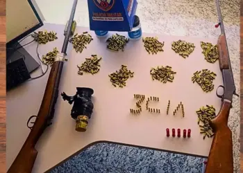 650 munições e espingardas: PM desarticula posse irregular de armas em Alto Rio Novo - Foto: PMES