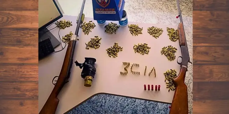 650 munições e espingardas: PM desarticula posse irregular de armas em Alto Rio Novo - Foto: PMES
