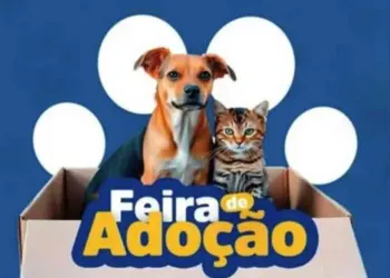 Feira de Adoção de Animais acontece neste sábado (9) no Centro de Colatina - Foto: Reprodução