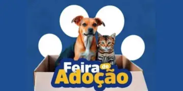 Feira de Adoção de Animais acontece neste sábado (9) no Centro de Colatina - Foto: Reprodução