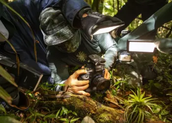 Documentário Corredores: da Pedra Azul ao Forno Grande disponível no Youtube - Foto: Divulgação