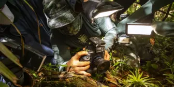 Documentário Corredores: da Pedra Azul ao Forno Grande disponível no Youtube - Foto: Divulgação