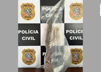 O detalhe inacreditável que salvou a vida de uma mulher sob a mira de uma arma no interior do ES - Foto: PCES