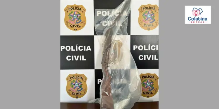 O detalhe inacreditável que salvou a vida de uma mulher sob a mira de uma arma no interior do ES - Foto: PCES