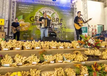 Expo Gengibre 2026 movimenta Santa Leopoldina a partir de sexta-feira (15) com entrada gratuita, shows, gastronomia e negócios - Foto: Divulgação