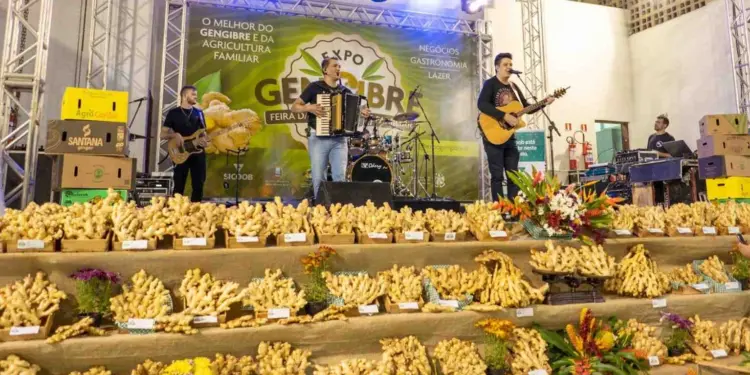 Expo Gengibre 2026 movimenta Santa Leopoldina a partir de sexta-feira (15) com entrada gratuita, shows, gastronomia e negócios - Foto: Divulgação