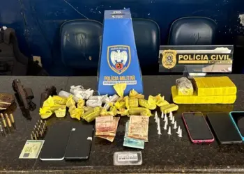 Policial fecha boca de fumo e descobre arsenal escondido em Mantenópolis - Foto: PCES