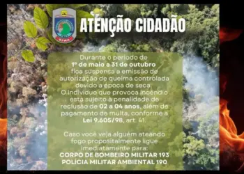 Estiagem no ES: provocar incêndios pode levar a 4 anos de prisão - Foto: Reprodução/Instagram/PMAmbiental