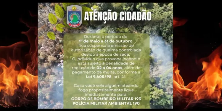 Estiagem no ES: provocar incêndios pode levar a 4 anos de prisão - Foto: Reprodução/Instagram/PMAmbiental