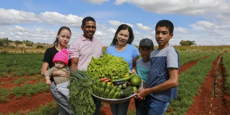 Trabalhador rural: a força que sustenta o agronegócio e o cooperativismo capixaba - Foto: Albino Oliveira - Ascom/MDA