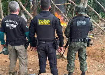 Polícia Federal e Forças de Segurança Desarticulam Garimpos Ilegais na Fronteira Amapá-Pará - Foto: Agência Brasil