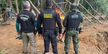 Polícia Federal e Forças de Segurança Desarticulam Garimpos Ilegais na Fronteira Amapá-Pará - Foto: Agência Brasil