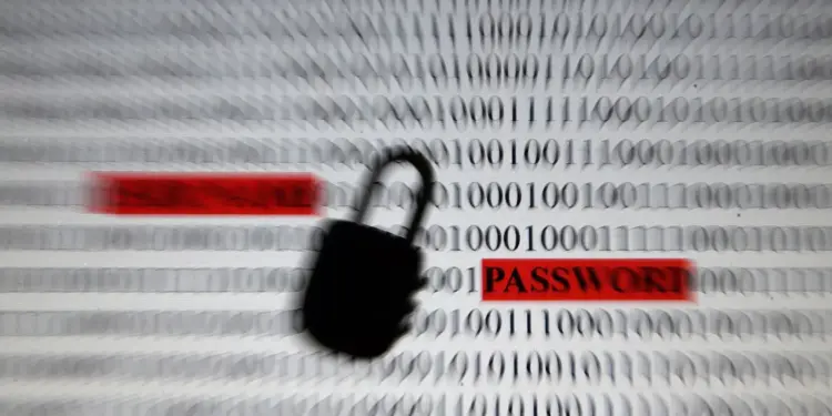 Governo Lança Kit Gratuito Para Proteger Você de Golpes Digitais e Phishing - Foto: Reprodução/Agência Brasil