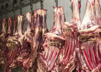 China suspende exportações de 3 frigoríficos brasileiros por irregularidades sanitárias em carne bovina - Foto: Agência Brasil