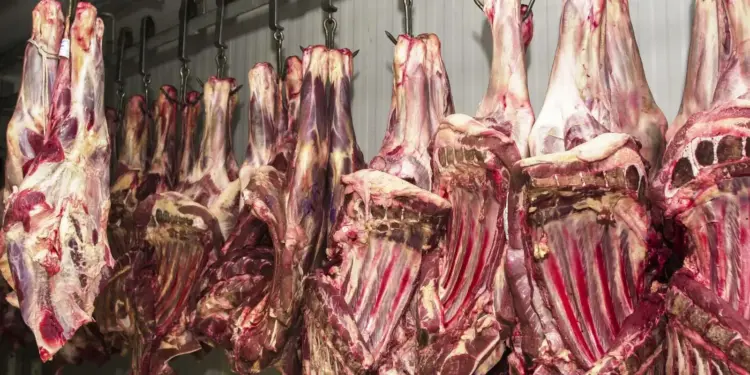 China suspende exportações de 3 frigoríficos brasileiros por irregularidades sanitárias em carne bovina - Foto: Agência Brasil