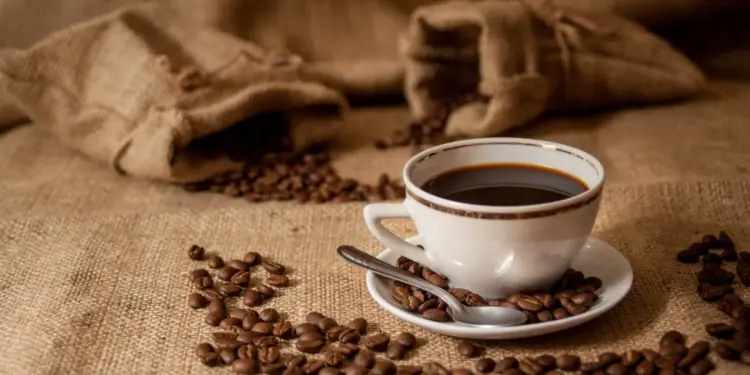 Café Tradicional Cai, Mas Descafeinado e Especial Disparam Mais de 15% em Abril: Entenda o Porquê - Foto: Reprodução