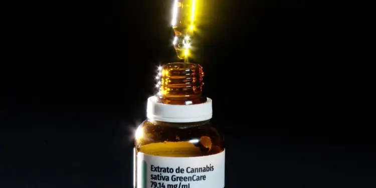 Mulheres com mais de 45 anos lideram uso de cannabis medicinal no Brasil; entenda os motivos - Foto: Reprodução