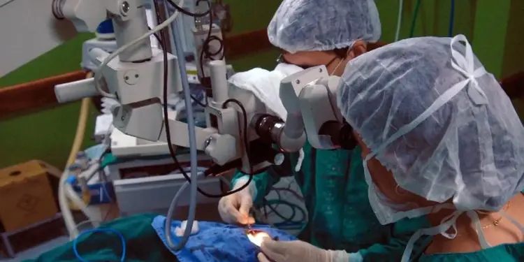 Risco de complicações cardíacas após cirurgia dobra para pacientes com Doença de Chagas, aponta estudo - Foto: Reprodução