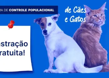 Colatina inicia programa permanente de castração animal com unidade móvel PetMobi - Foto: Divulgação