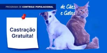Colatina inicia programa permanente de castração animal com unidade móvel PetMobi - Foto: Divulgação