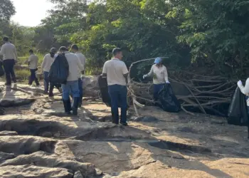 Aliança Energia participa de ação de sensibilização ambiental durante a Semana do Meio Ambiente em Aimorés - Foto: Divulgação